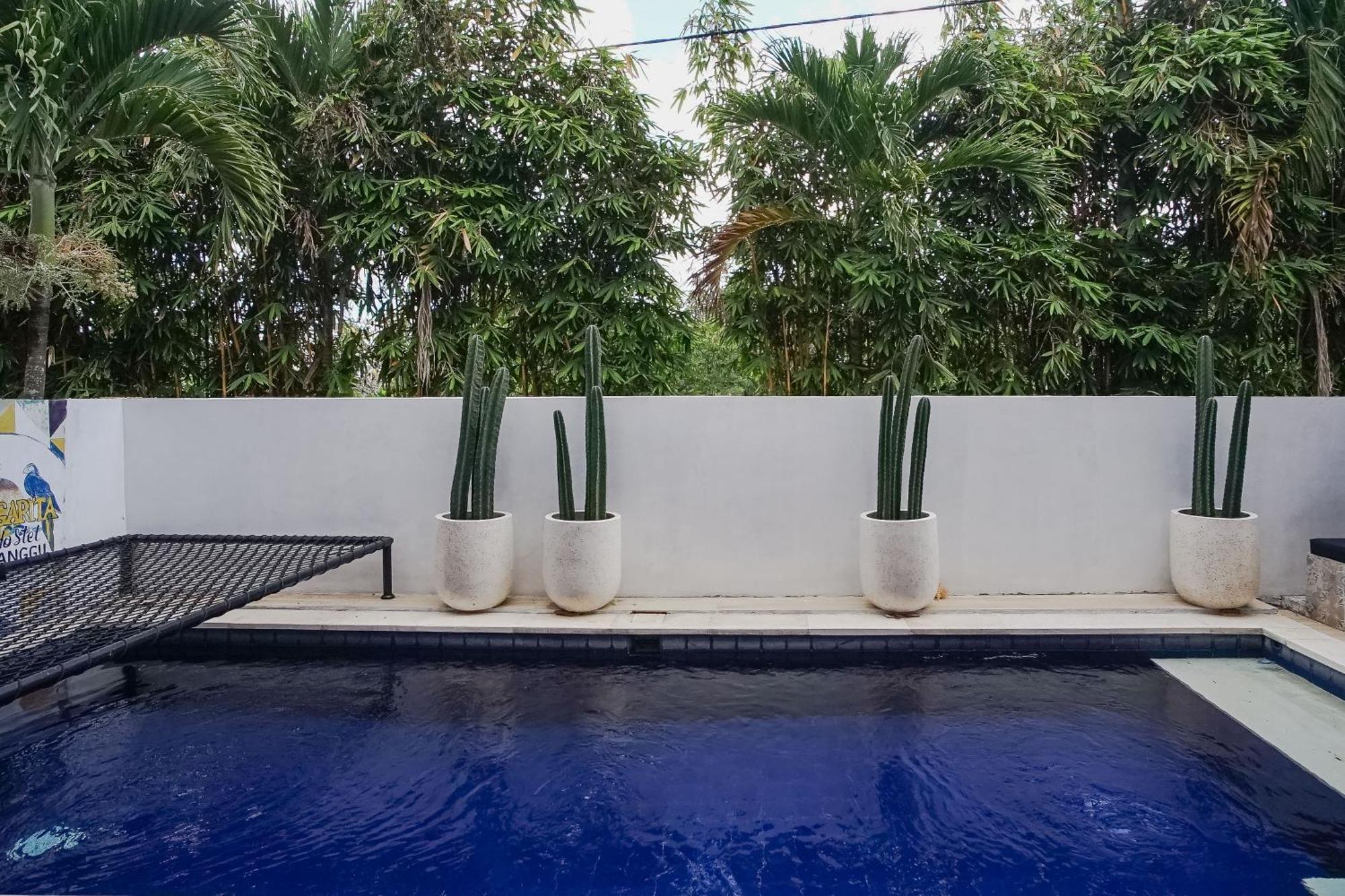 Margarita Surf Hostel Canggu Ngoại thất bức ảnh